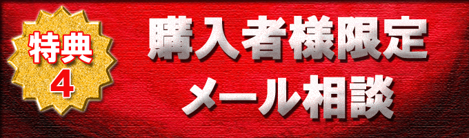 購入者様限定メール相談