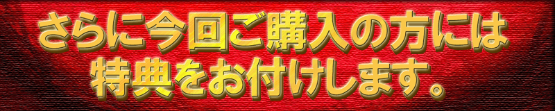 さらに今回ご購入の方には特典をお付けします。